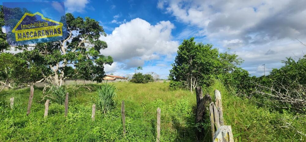 Chácara, 3 quartos, 1 hectares - Foto 16