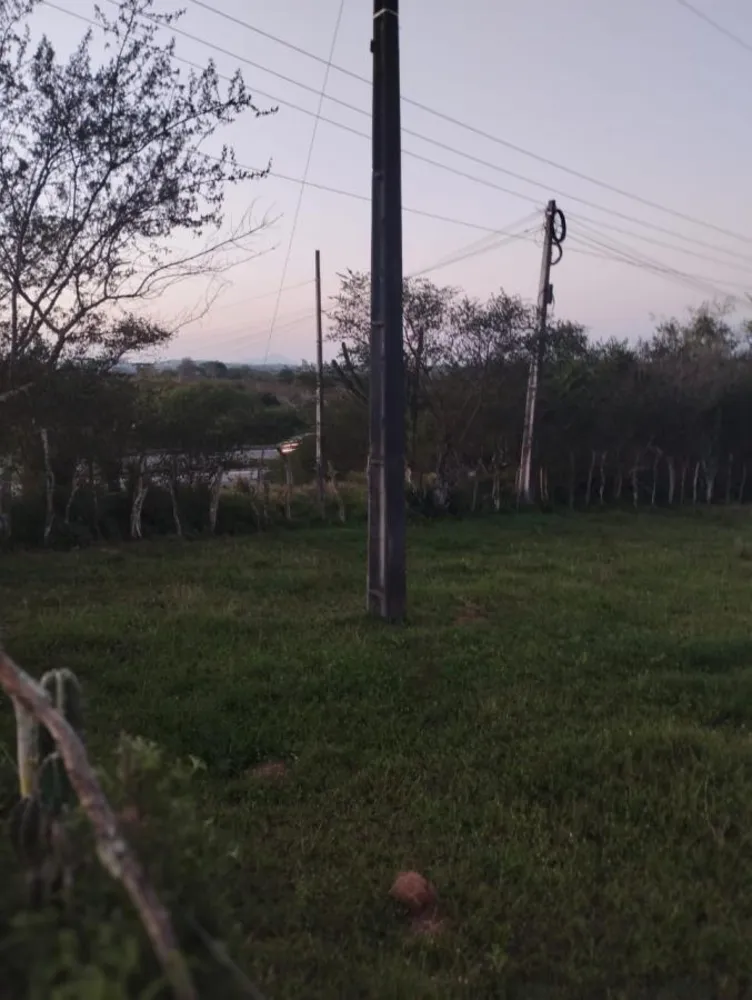 Terreno, 4 hectares - Foto 1