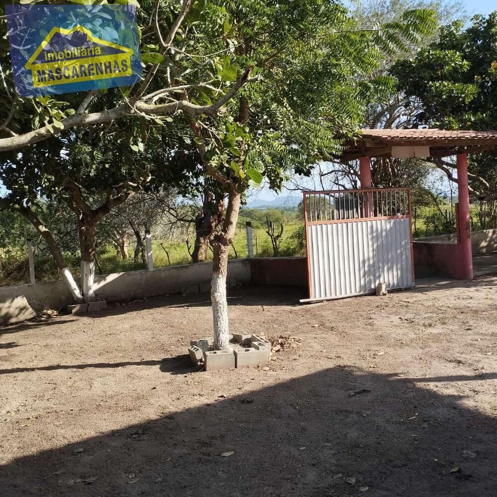 Sítio à venda - Foto 5