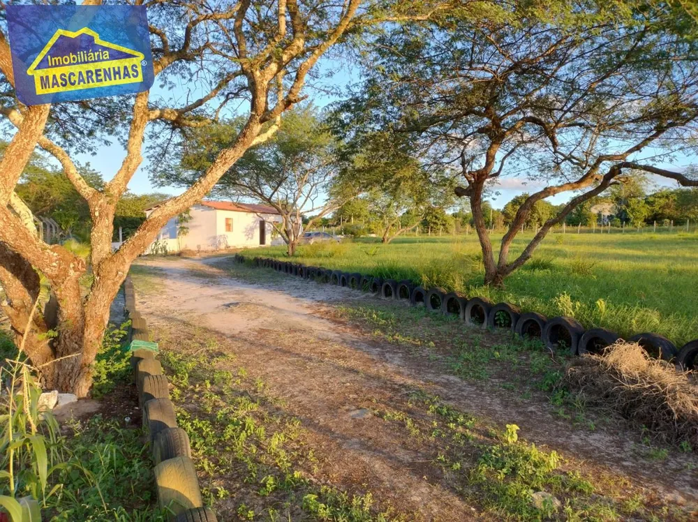 Sítio - Foto 5