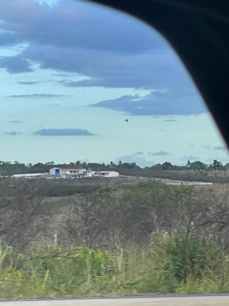 Depósito-Galpão - Foto 5