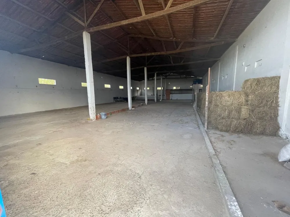Depósito-Galpão - Foto 3