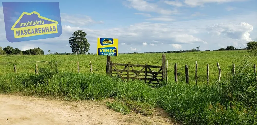 Fazenda - Foto 3