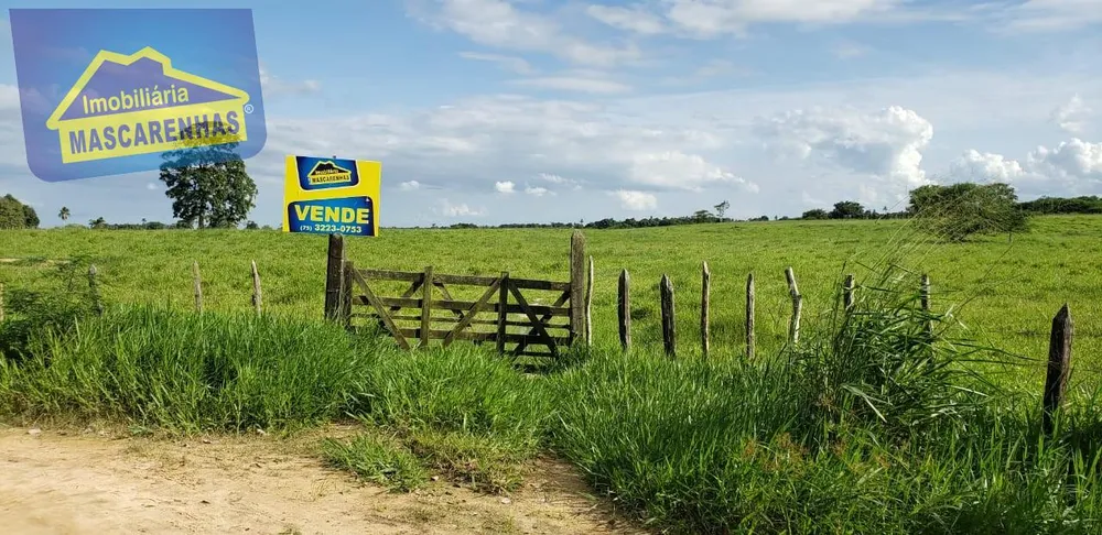 Fazenda - Foto 1