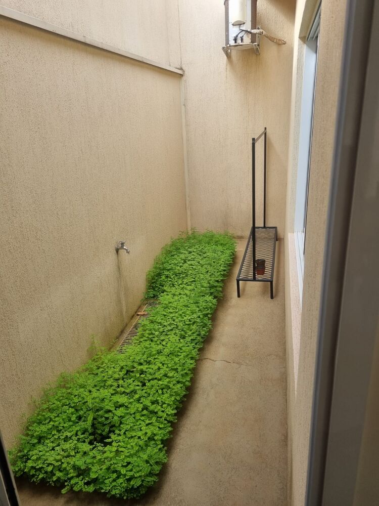 Casa, 3 quartos, 155 m² - Foto 9