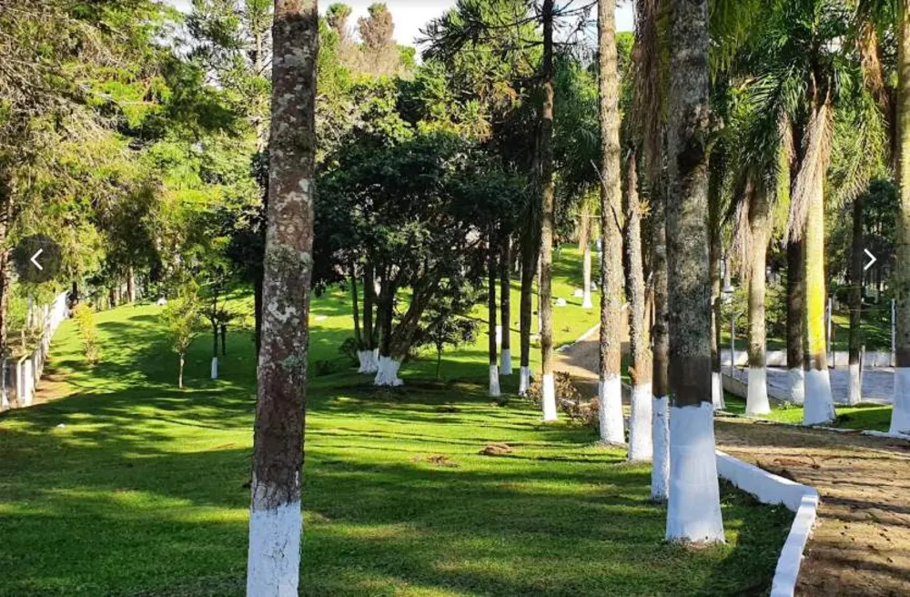 Sítio, 5 quartos, 12 hectares - Foto 3