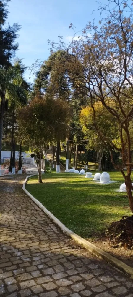 Sítio, 5 quartos, 12 hectares - Foto 8