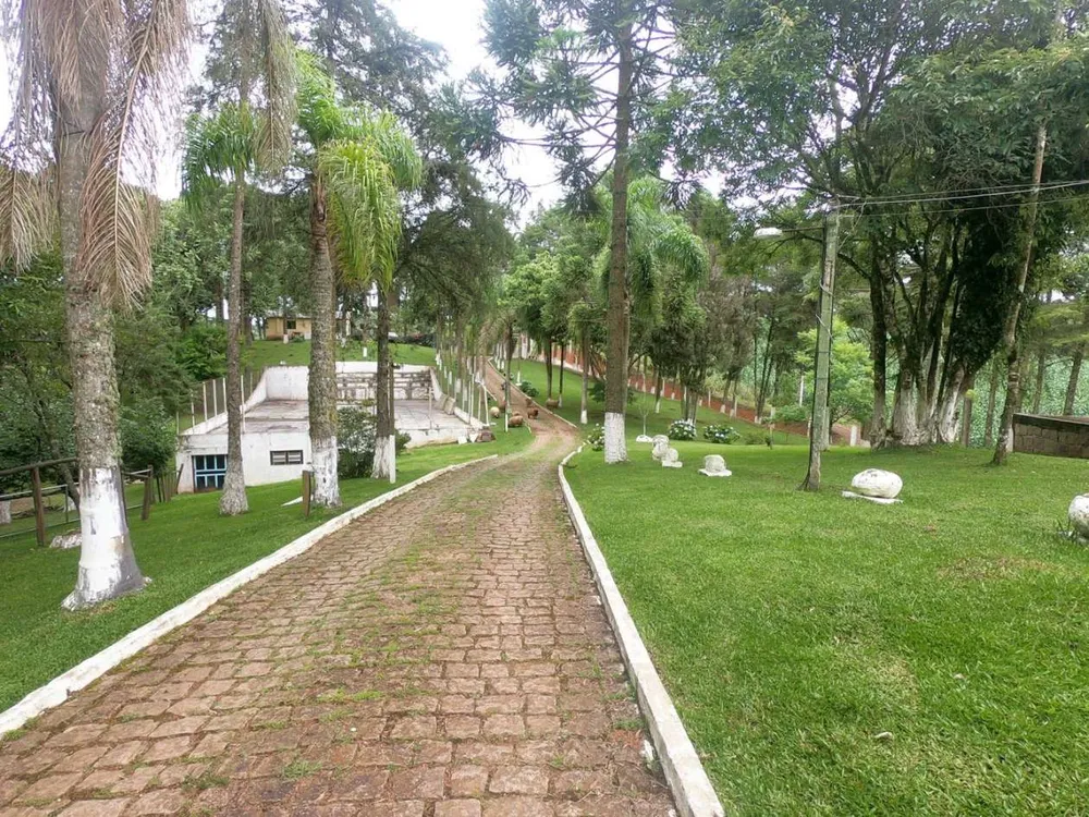 Sítio, 5 quartos, 12 hectares - Foto 12