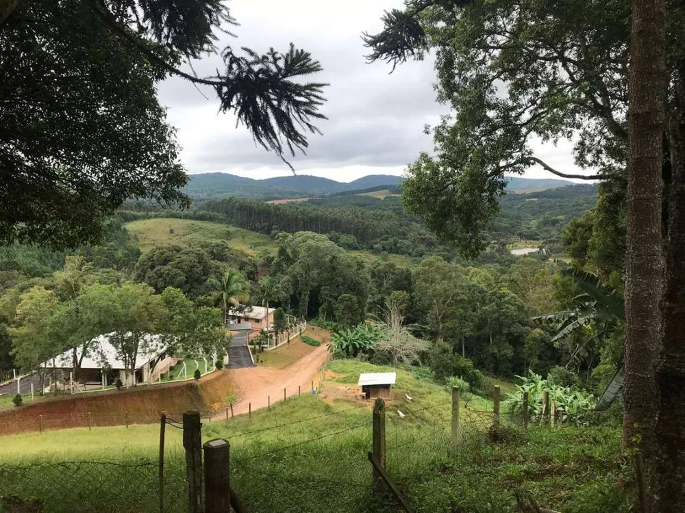 Chácara, 5 quartos, 12 hectares - Foto 3