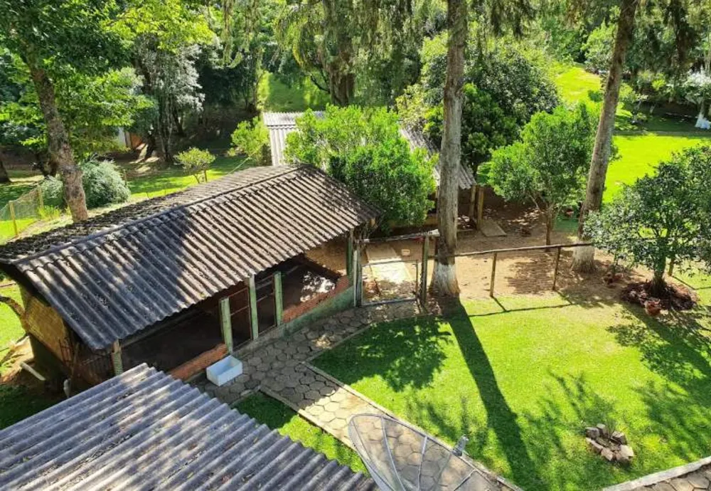 Chácara, 5 quartos, 12 hectares - Foto 8