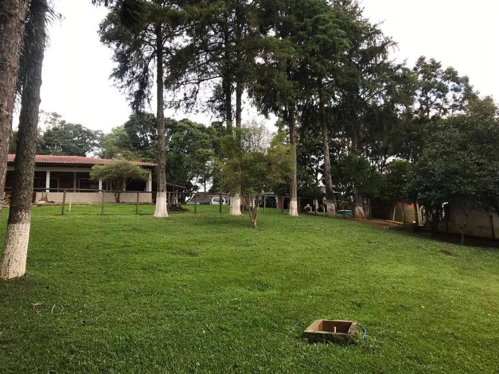 Chácara, 5 quartos, 12 hectares - Foto 6