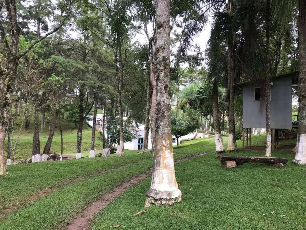 Chácara, 5 quartos, 12 hectares - Foto 2