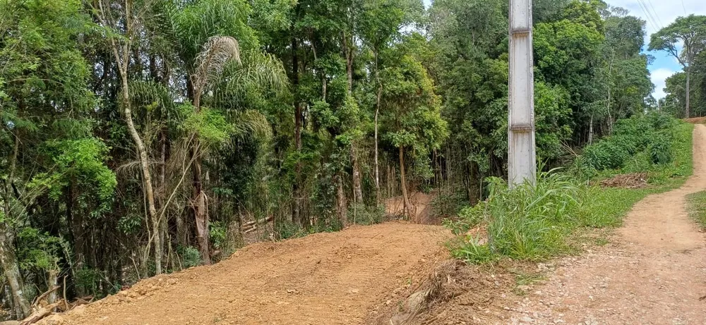 Chácara, 6000 m² - Foto 6