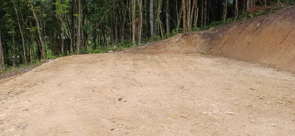 Chácara, 6000 m² - Foto 3