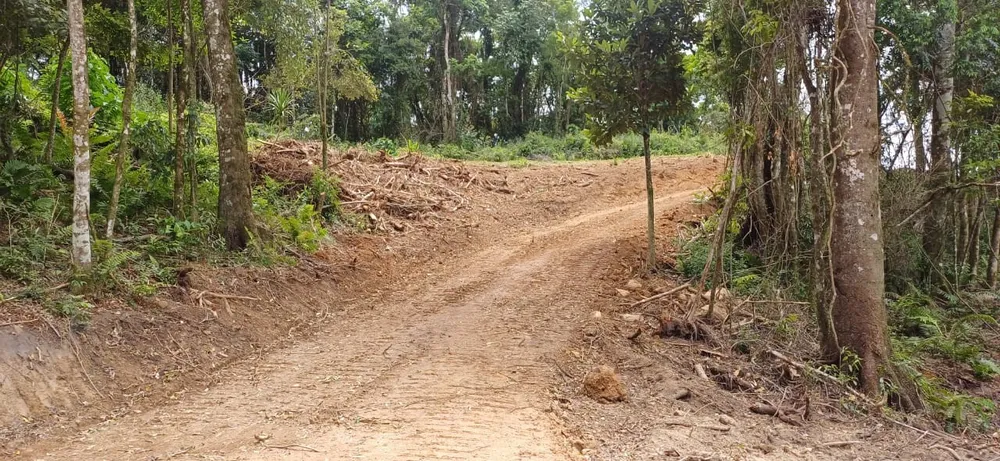 Chácara, 6000 m² - Foto 9