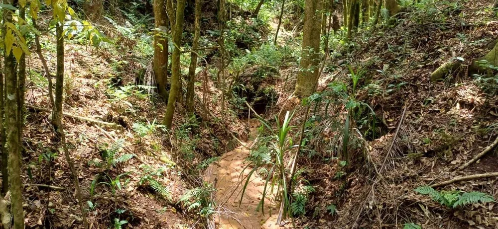 Chácara, 6000 m² - Foto 1