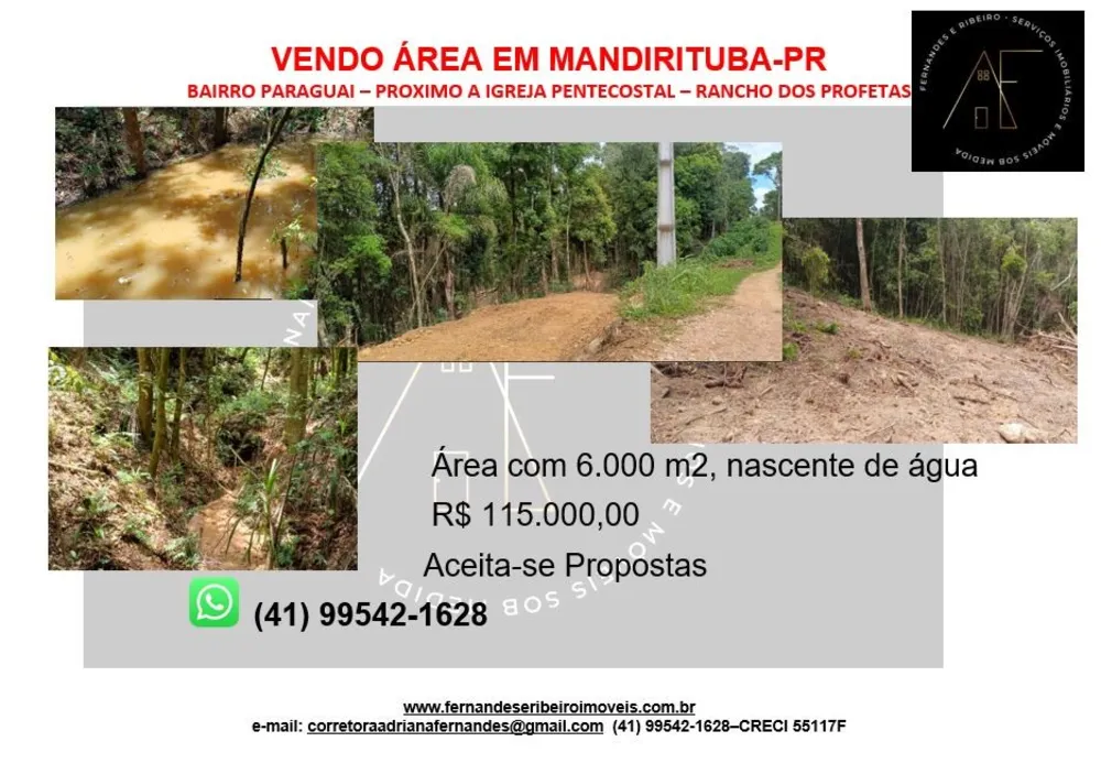 Chácara, 6000 m² - Foto 2