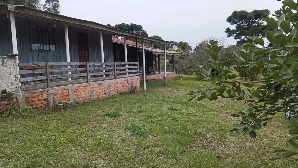 Chácara, 5 quartos, 6000 m² - Foto 4