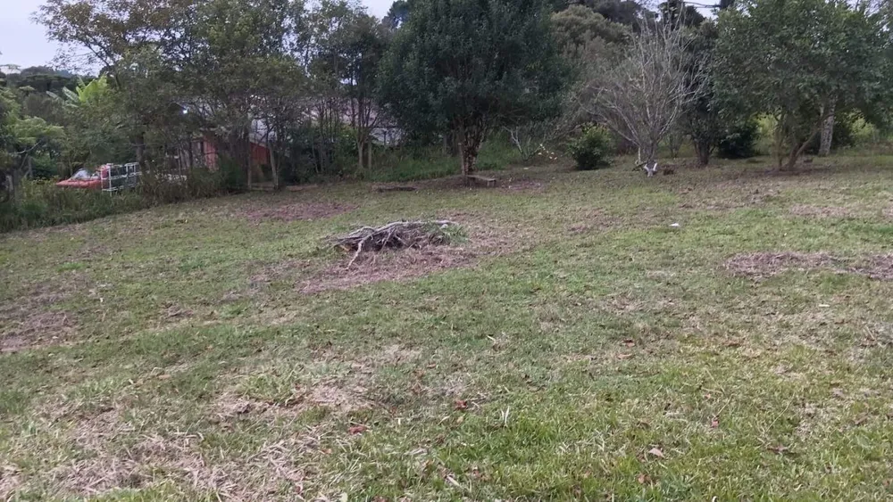 Chácara, 5 quartos, 6000 m² - Foto 3