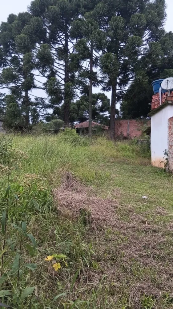Chácara, 5 quartos, 6000 m² - Foto 1