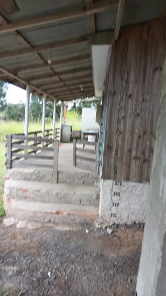 Chácara, 5 quartos, 6000 m² - Foto 10