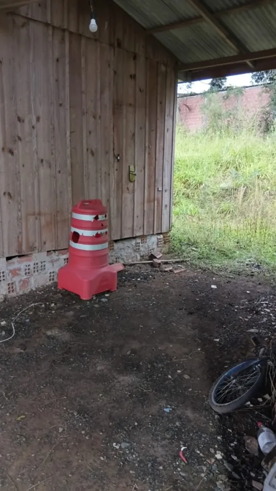 Chácara, 5 quartos, 6000 m² - Foto 3