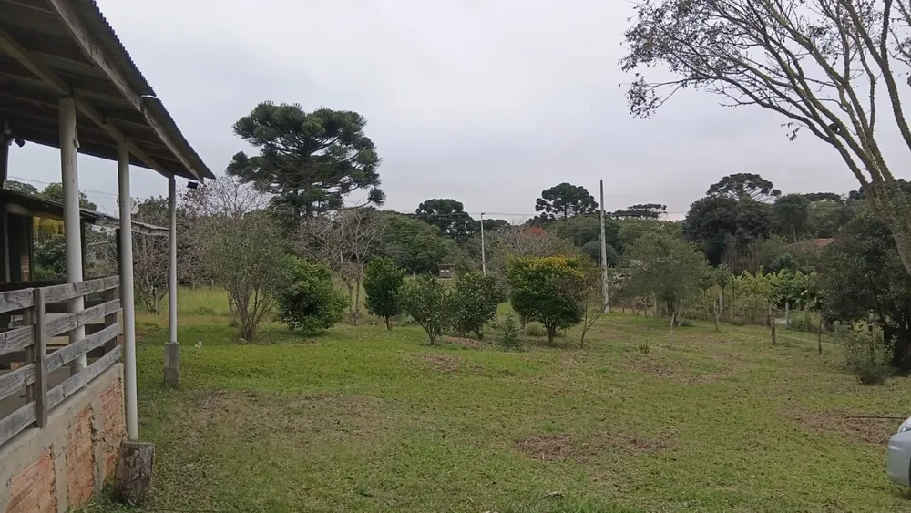 Chácara, 5 quartos, 6000 m² - Foto 5