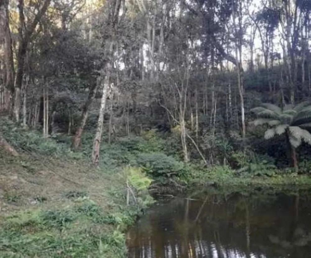 Sítio, 10 hectares - Foto 1