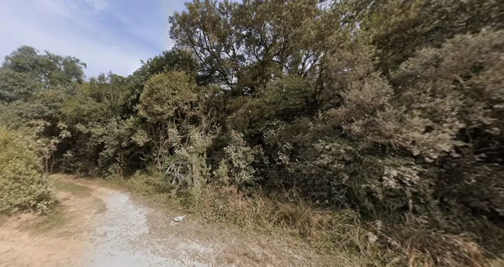 Terreno, 9 hectares - Foto 1