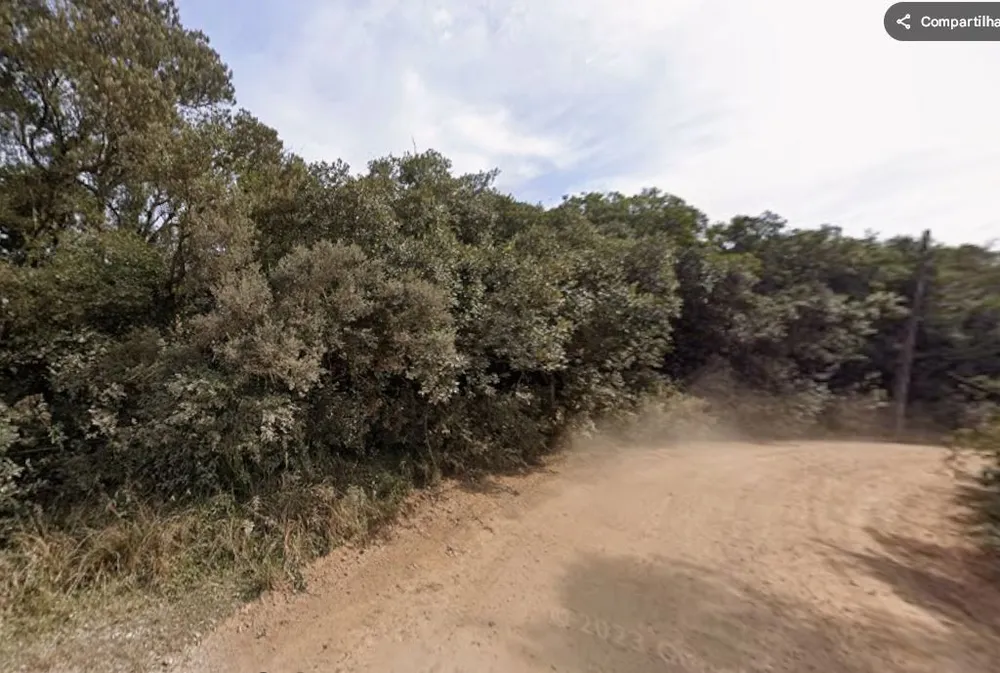 Terreno, 9 hectares - Foto 7
