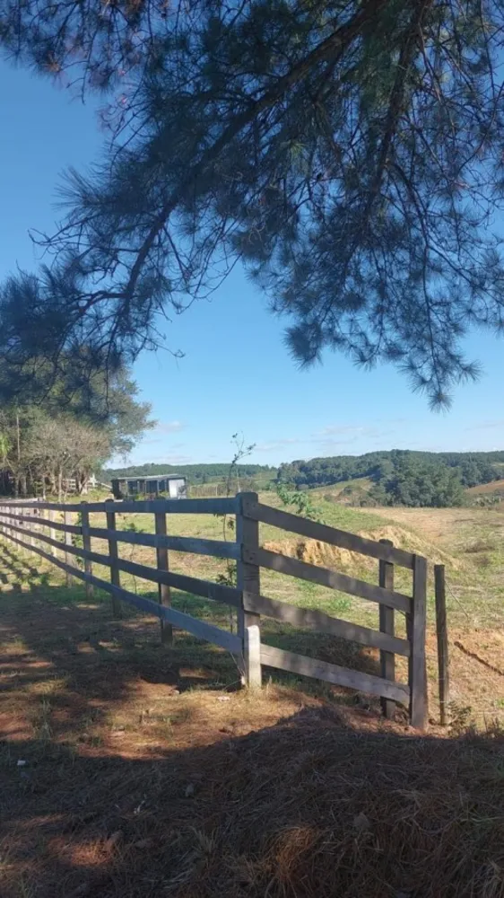 Chácara, 2 quartos, 6000 m² - Foto 4