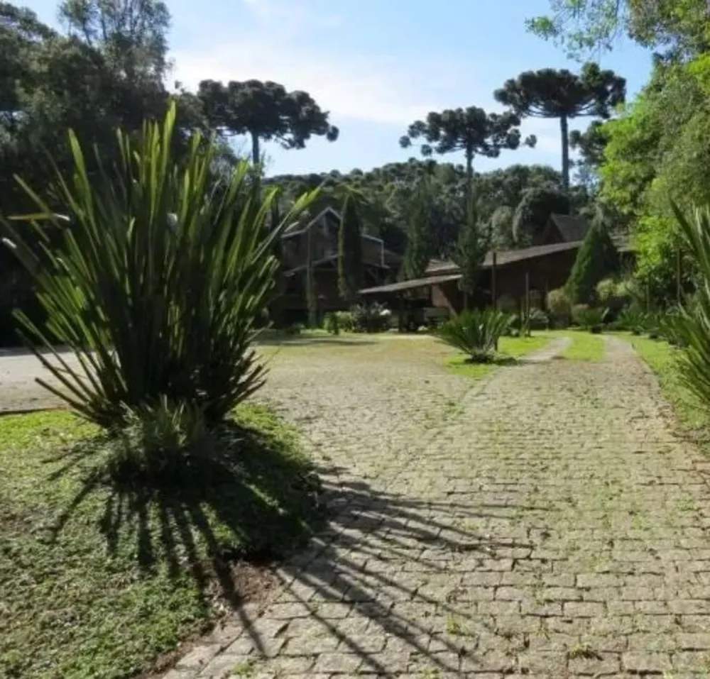 Chácara, 2 quartos, 4800 m² - Foto 4