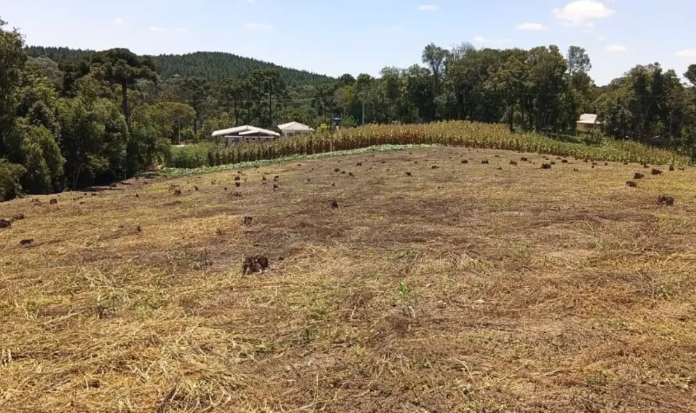 Chácara, 7767 m² - Foto 1