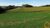 Terreno, 32 hectares - Foto 3