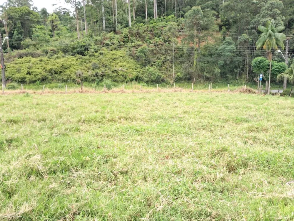 Terreno, 2913 m² - Foto 8