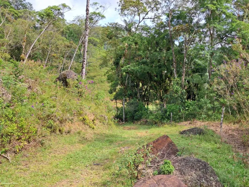 Chácara, 3 hectares - Foto 6
