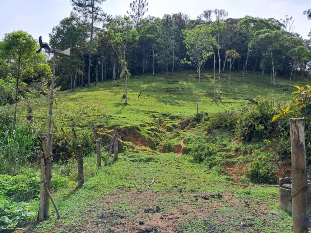 Chácara, 3 hectares - Foto 1