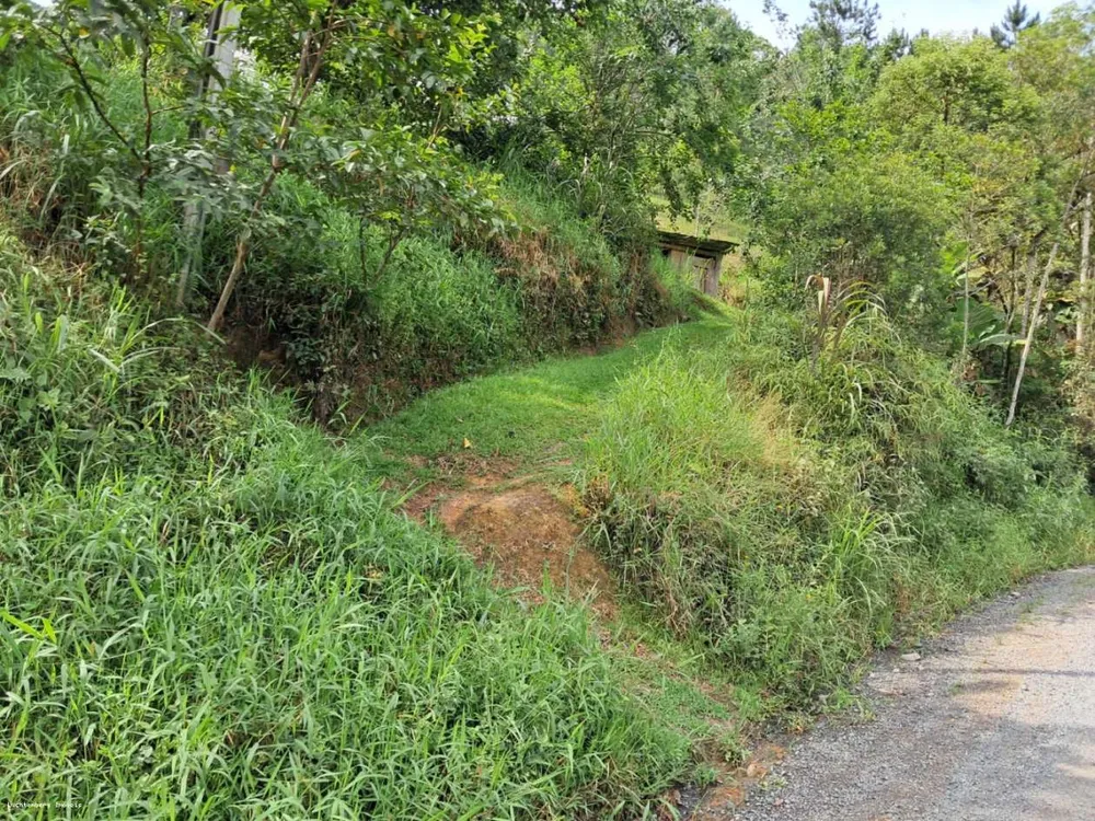 Chácara, 3 hectares - Foto 3