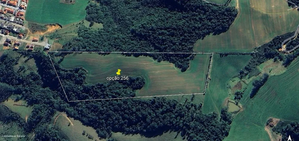 Sítio, 8 hectares - Foto 2