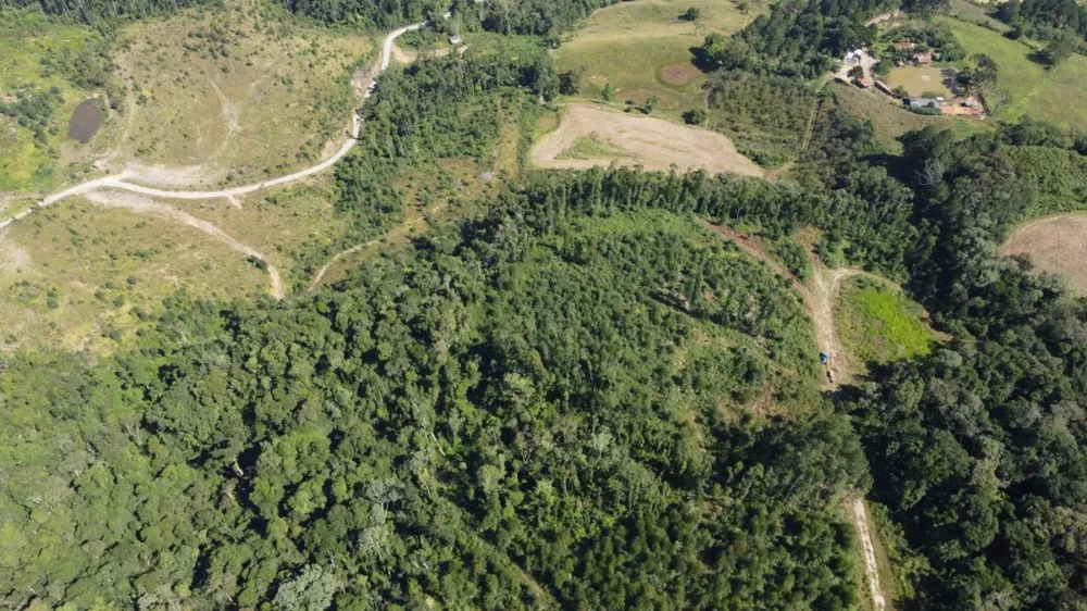 Sítio, 5 hectares - Foto 4