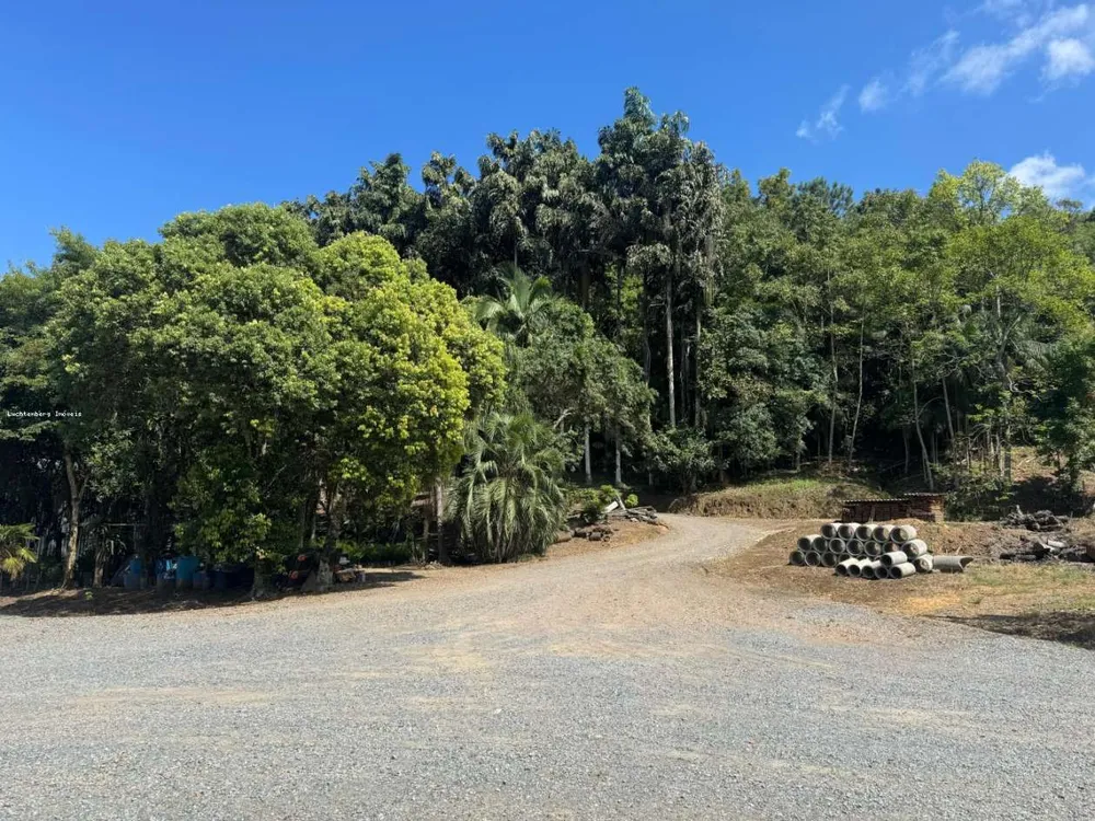 Terreno, 9 hectares - Foto 4