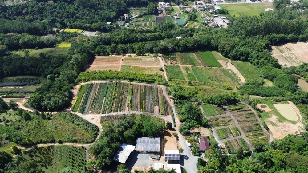 Terreno, 9 hectares - Foto 1