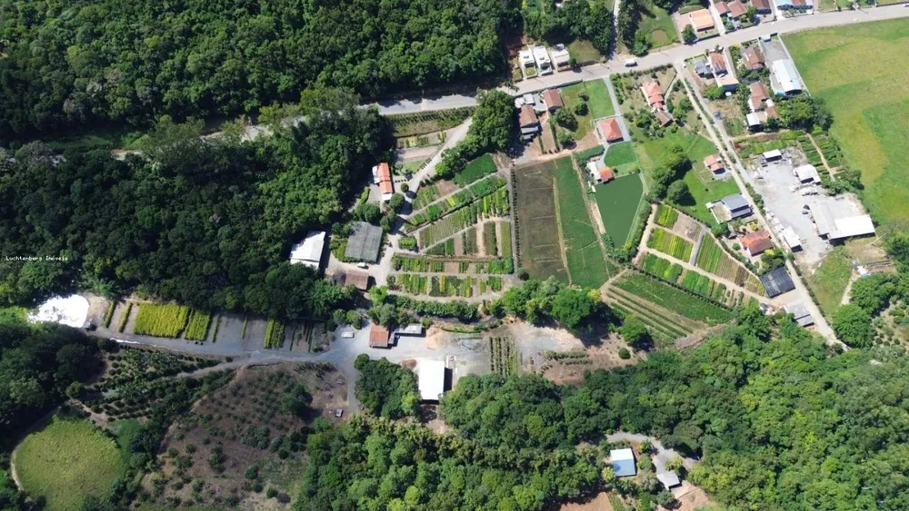 Terreno, 9 hectares - Foto 7