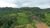 Terreno, 16 hectares - Foto 8