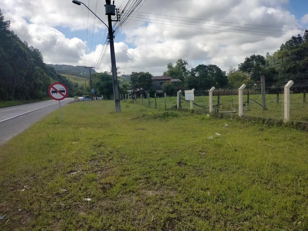 Terreno, 4 hectares - Foto 3
