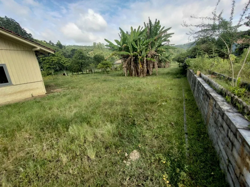 Terreno, 4 hectares - Foto 7
