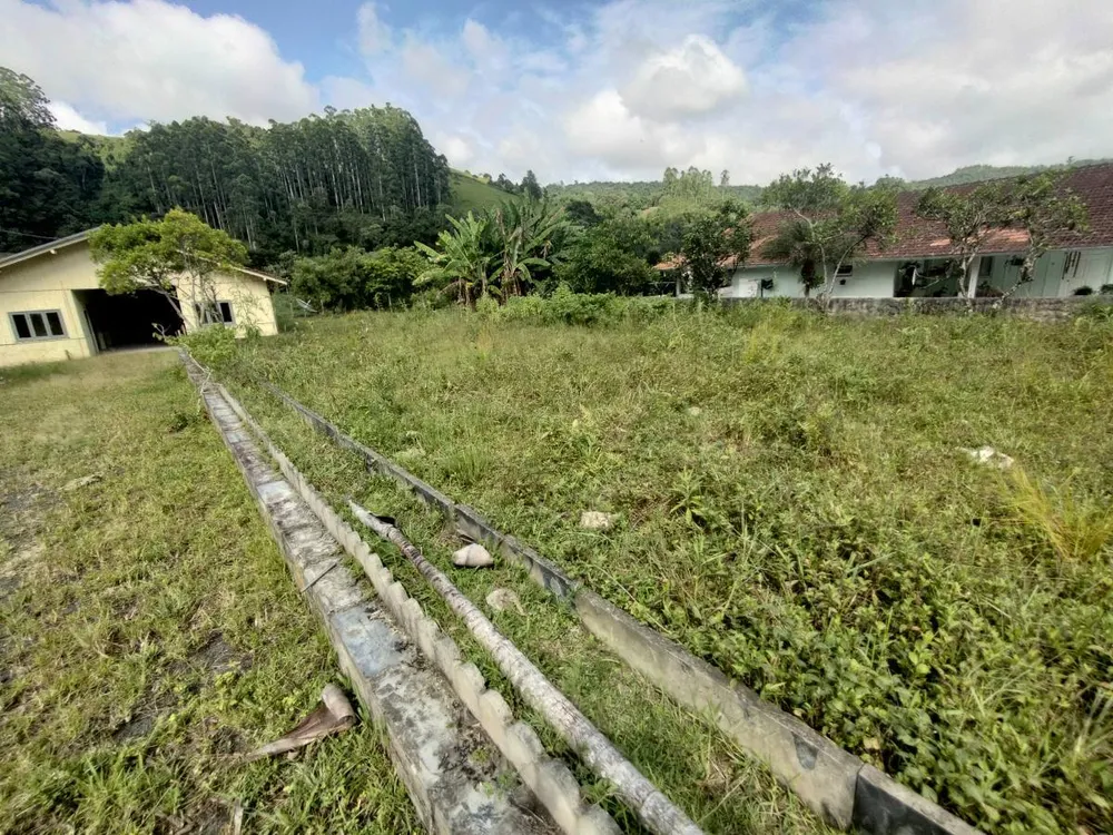 Terreno, 4 hectares - Foto 6