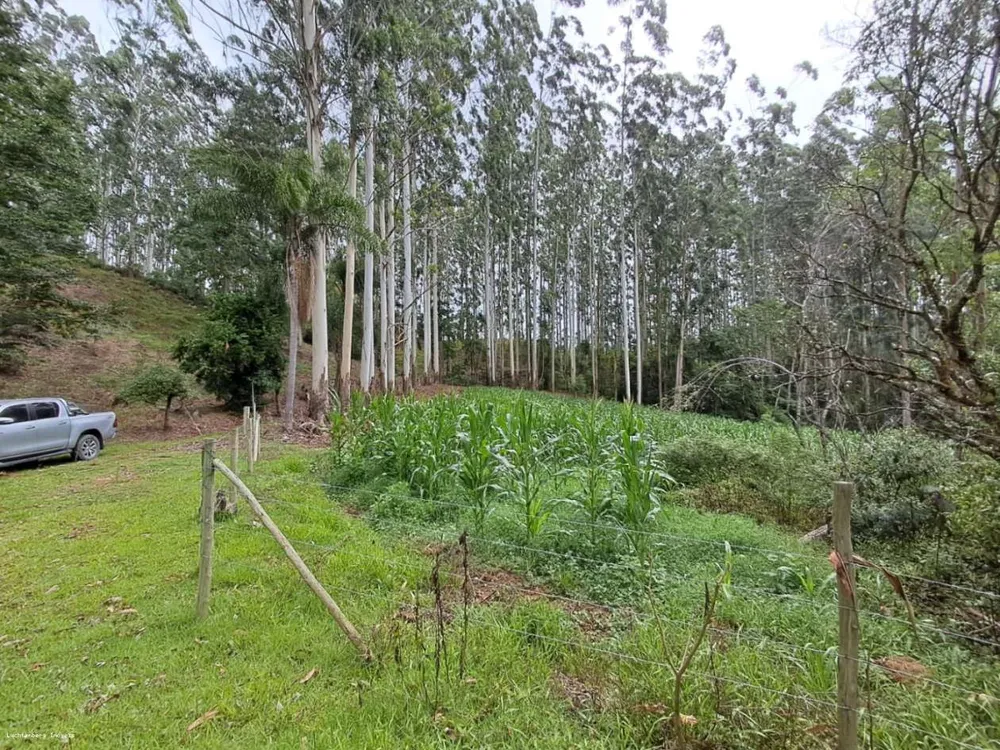 Sítio, 7 hectares - Foto 11
