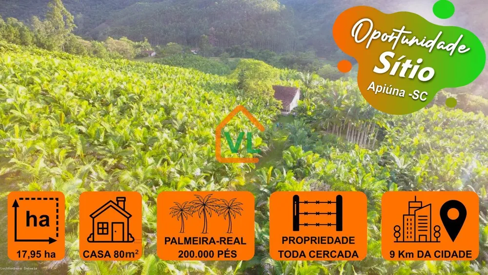 Sítio, 17 hectares - Foto 1