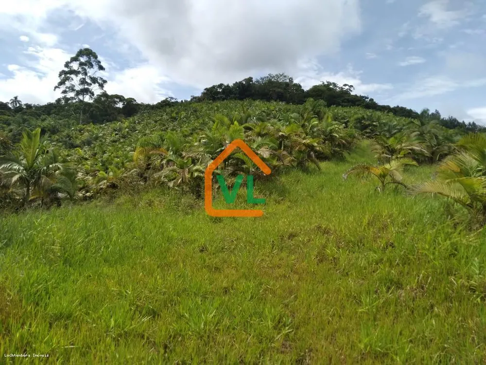 Sítio, 17 hectares - Foto 12